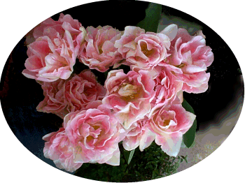 ALT="Angelique2"