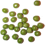 ����ǂ����̗�