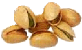 �s�X�^�`�I