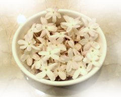 羽衣ジャスミンの花 羽衣ジャスミンの花
