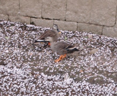 �������܂�