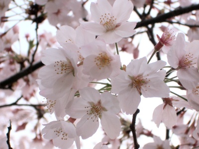 �����Ƌ߂Â��Ă��񂭂�E�E�E����͂��Ȃ������