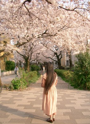 �O�юq�������肵�܂�