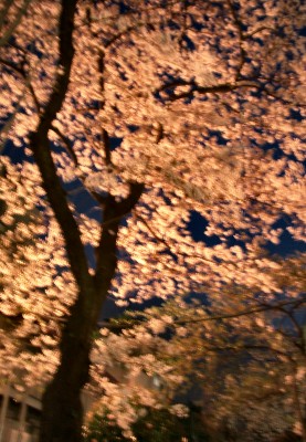 ��i�͂����Ă��u���܂�(^^;�U