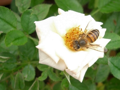 �I�������W�߂ɗ��܂���
