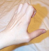 ���V�̎�̑̑�